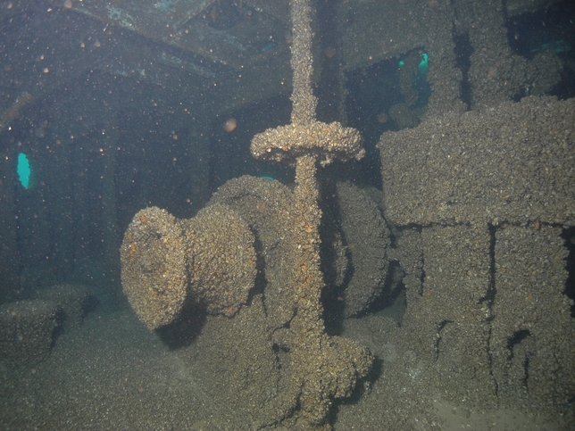 M0013706 2