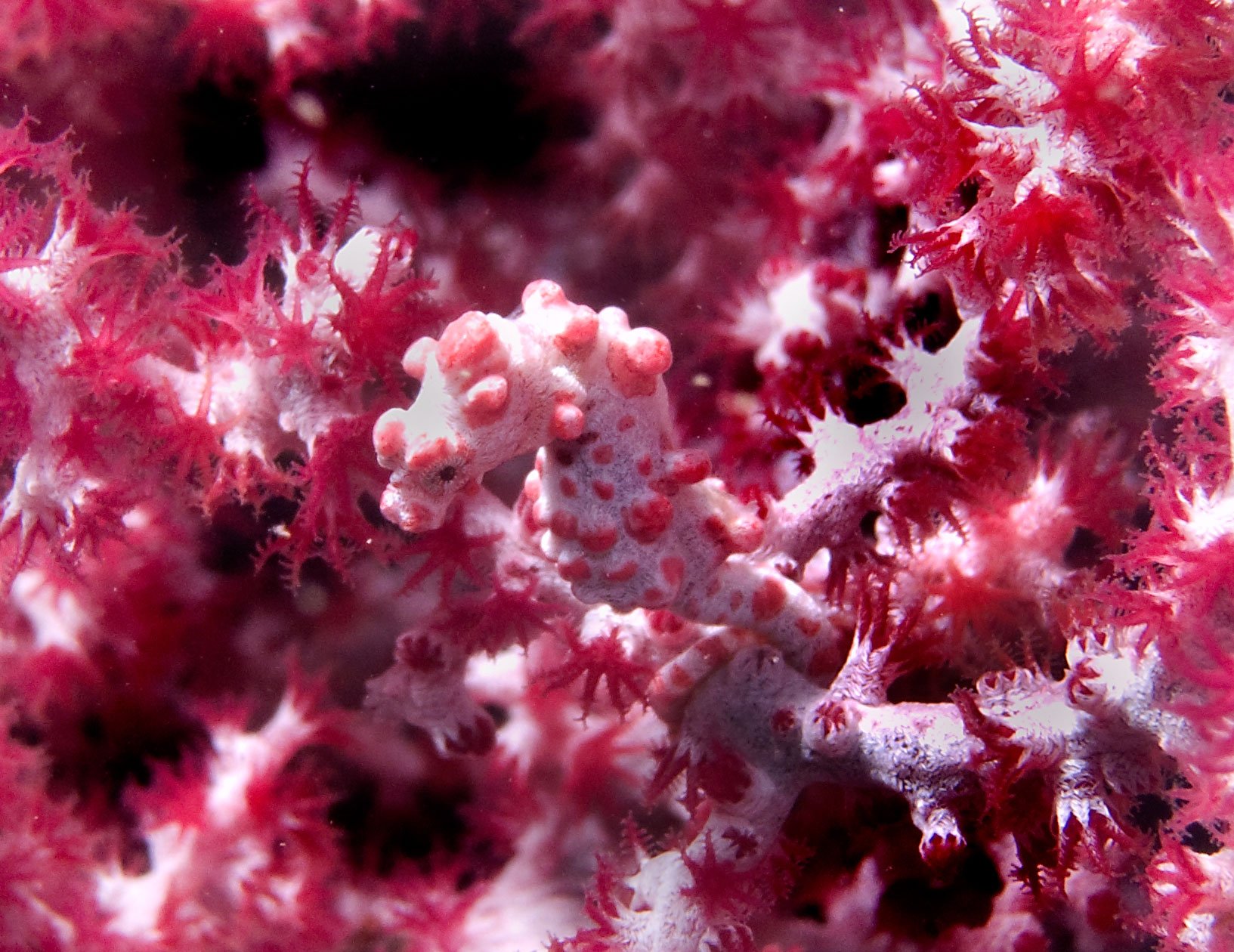M0014280.jpg